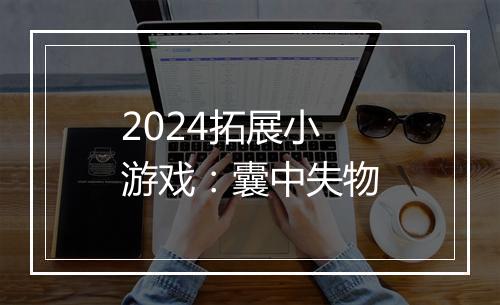 2024拓展小游戏:囊中失物