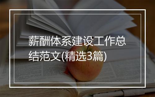 薪酬体系建设工作总结范文(精选3篇)