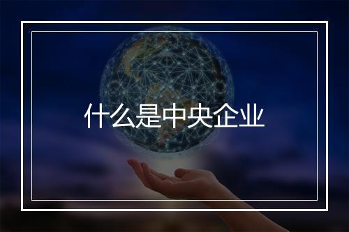 什么是中央企业