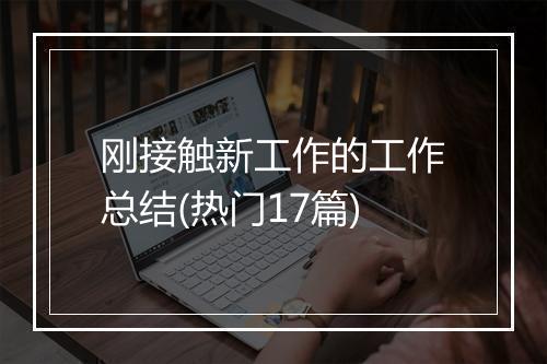 刚接触新工作的工作总结(热门17篇)