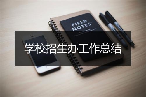 学校招生办工作总结