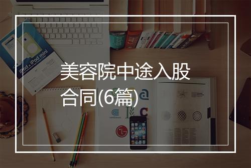 美容院中途入股合同(6篇)