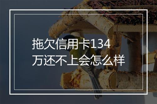 拖欠信用卡134万还不上会怎么样