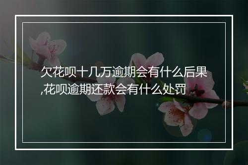 欠花呗十几万逾期会有什么后果,花呗逾期还款会有什么处罚