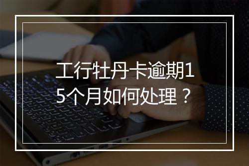工行牡丹卡逾期15个月如何处理?