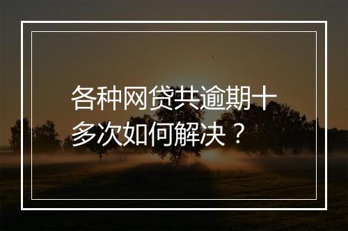 各种网贷共逾期十多次如何解决?
