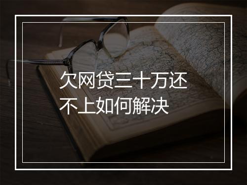 欠网贷三十万还不上如何解决