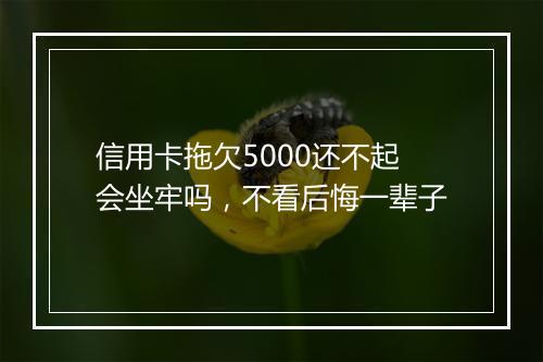 信用卡拖欠5000还不起会坐牢吗,不看后悔一辈子