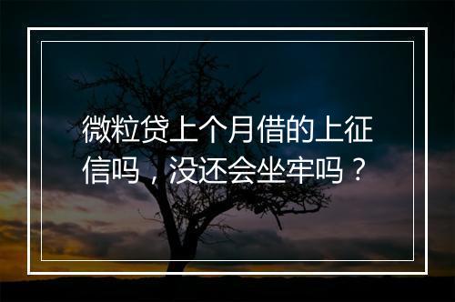 微粒贷上个月借的上征信吗,没还会坐牢吗?