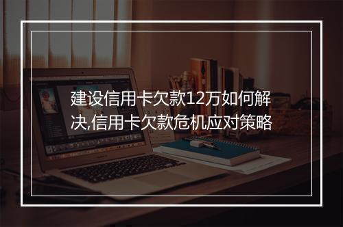 建设信用卡欠款12万如何解决,信用卡欠款危机应对策略