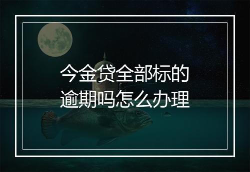 今金贷全部标的逾期吗怎么办理