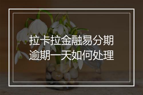 拉卡拉金融易分期逾期一天如何处理