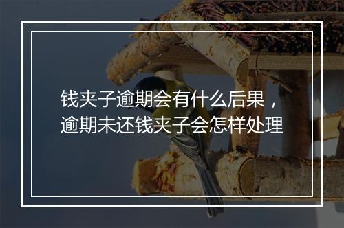 钱夹子逾期会有什么后果,逾期未还钱夹子会怎样处理