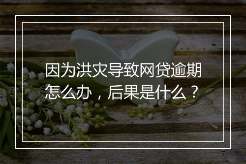 因为洪灾导致网贷逾期怎么办,后果是什么?