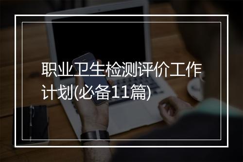 职业卫生检测评价工作计划(必备11篇)