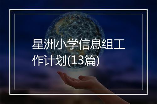 星洲小学信息组工作计划(13篇)