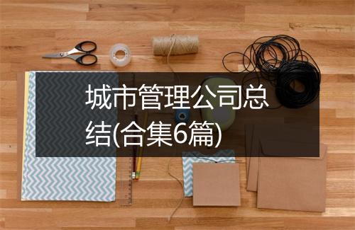 城市管理公司总结(合集6篇)