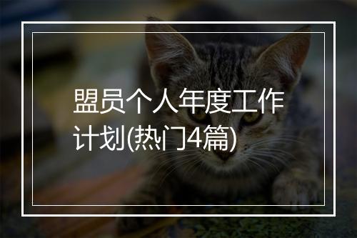盟员个人年度工作计划(热门4篇)