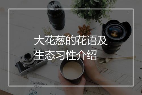 大花葱的花语及生态习性介绍
