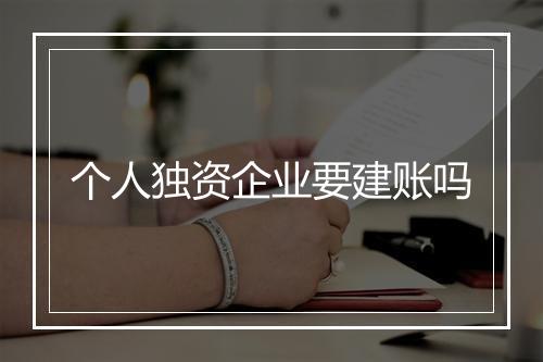 个人独资企业要建账吗