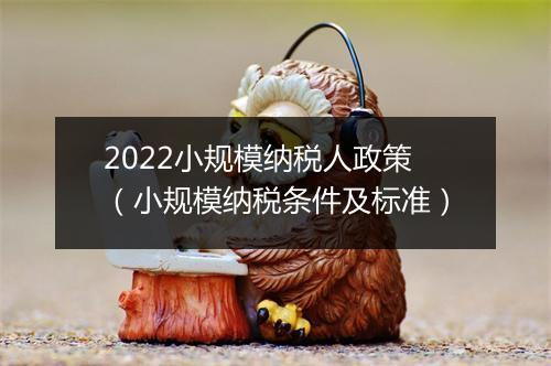 2022小规模纳税人政策(小规模纳税条件及标准)