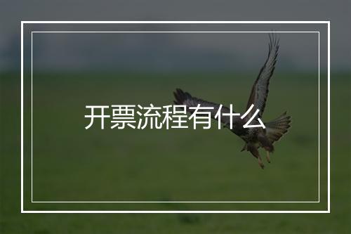 开票流程有什么