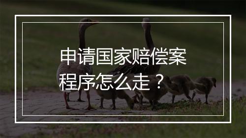 申请国家赔偿案程序怎么走?