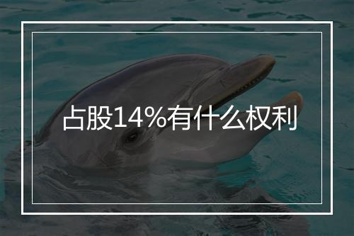 占股14%有什么权利