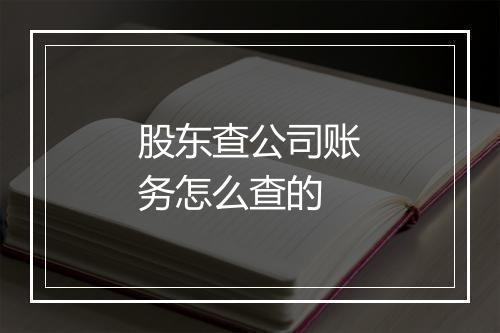 股东查公司账务怎么查的