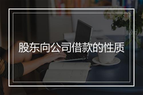股东向公司借款的性质