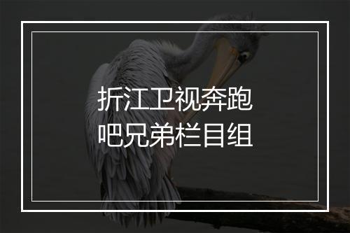 折江卫视奔跑吧兄弟栏目组