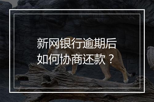 新网银行逾期后如何协商还款?