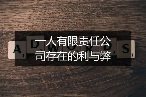 一人有限责任公司存在的利与弊