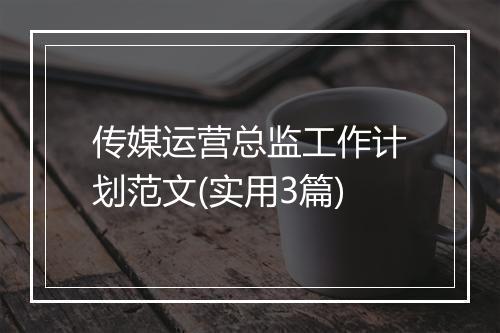 传媒运营总监工作计划范文(实用3篇)