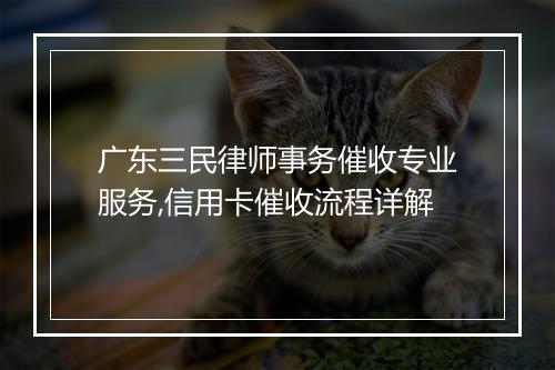 广东三民律师事务催收专业服务,信用卡催收流程详解