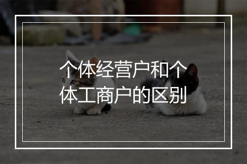 个体经营户和个体工商户的区别