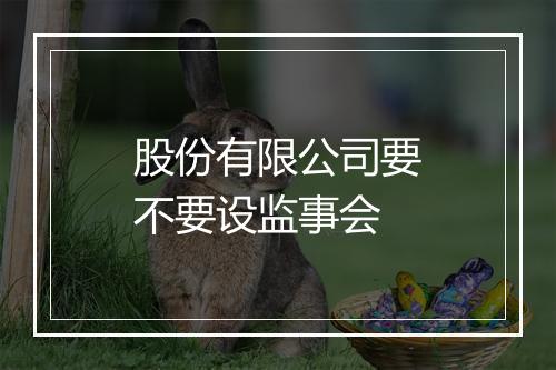 股份有限公司要不要设监事会