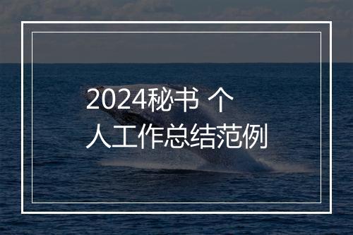2024秘书 个人工作总结范例