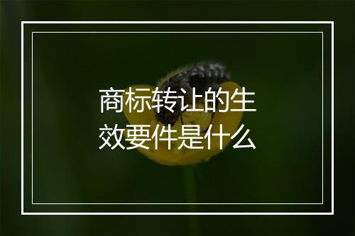 商标转让的生效要件是什么