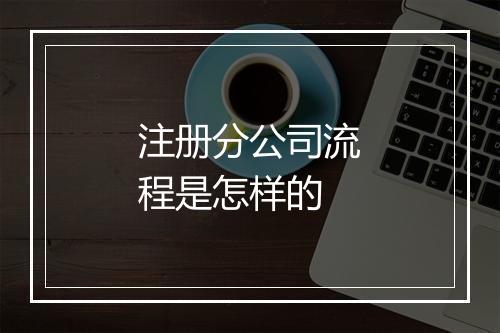 注册分公司流程是怎样的