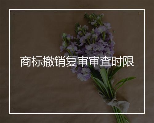 商标撤销复审审查时限