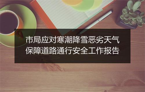市局应对寒潮降雪恶劣天气保障道路通行安全工作报告