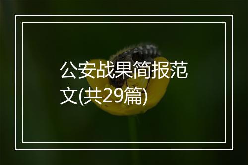 公安战果简报范文(共29篇)