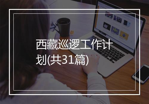 西藏巡逻工作计划(共31篇)