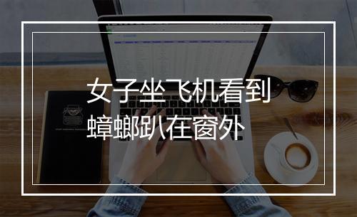 女子坐飞机看到蟑螂趴在窗外