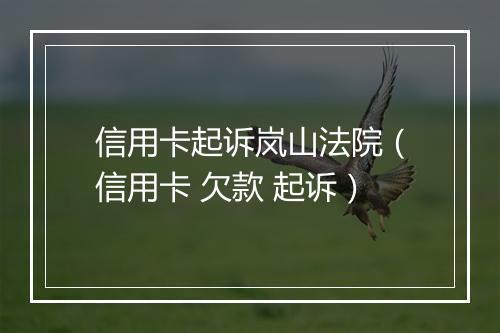 信用卡起诉岚山法院(信用卡 欠款 起诉)