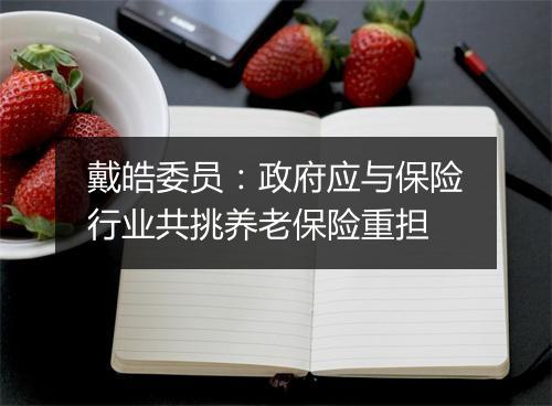 戴皓委员:政府应与保险行业共挑养老保险重担