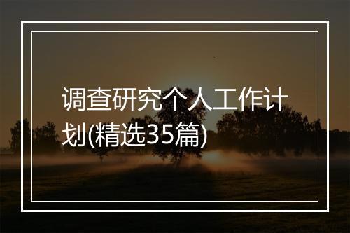 调查研究个人工作计划(精选35篇)
