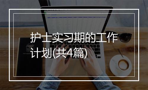 护士实习期的工作计划(共4篇)