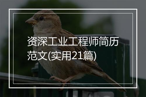资深工业工程师简历范文(实用21篇)
